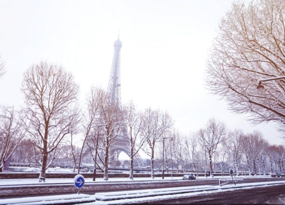 La Tour Eiffel entourée d'arbres enneigés à Paris, capturant un rare épisode de neige en Île-de-France.