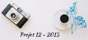 Projet 12 - année 2013