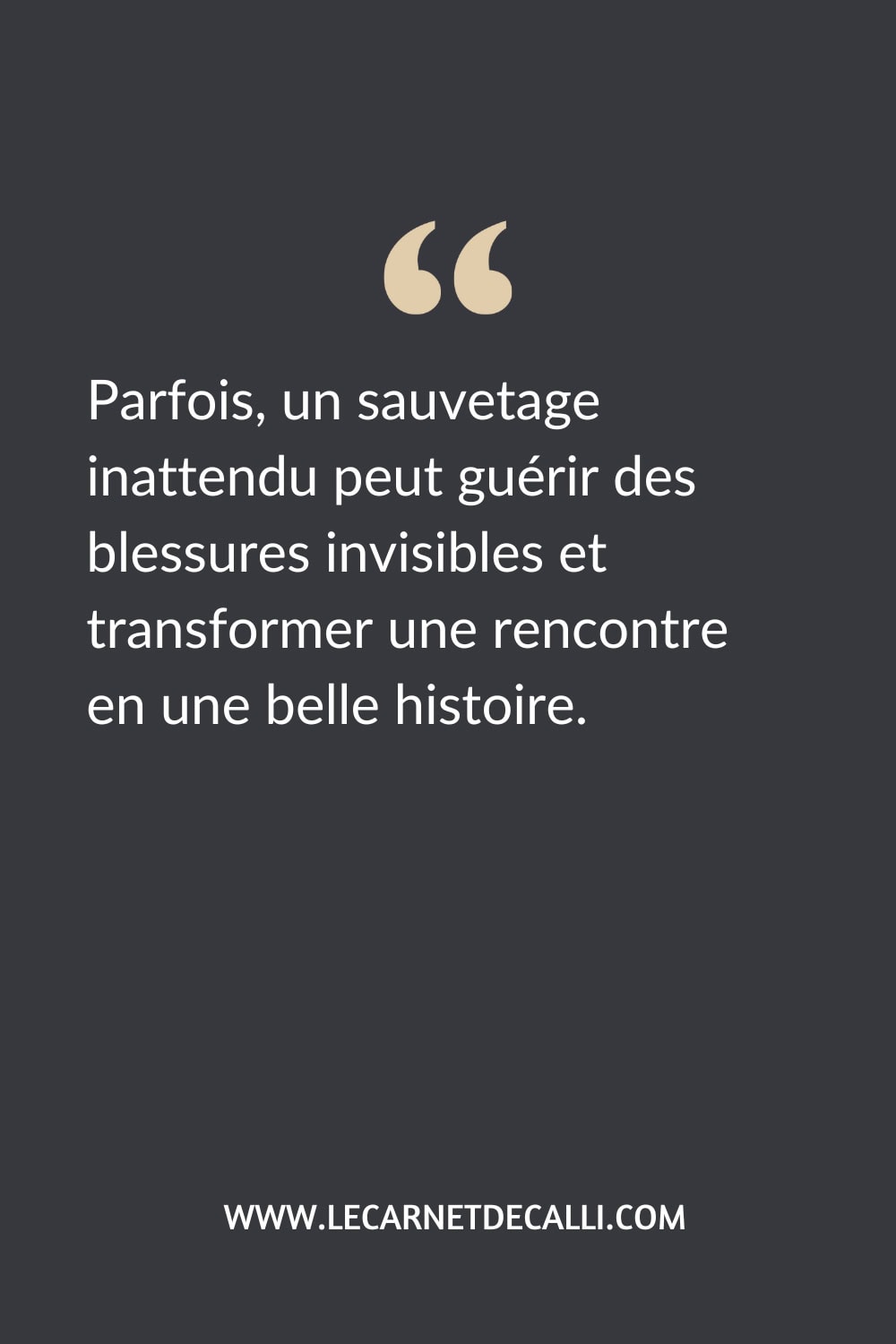 Citation inspirée de "Sauve-moi !" de Rachel Gibson