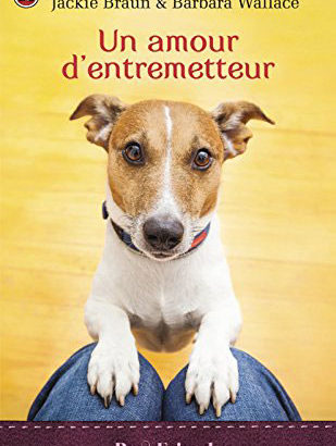 Un amour d'entremetteur / Shirley Jump, Susan Meier, Jackie Braun et Barbara Wallace