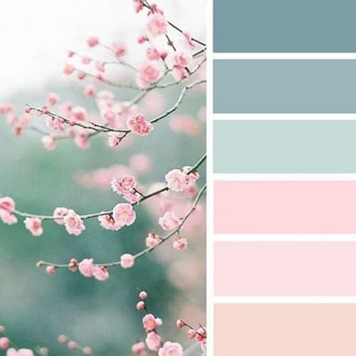 color palette