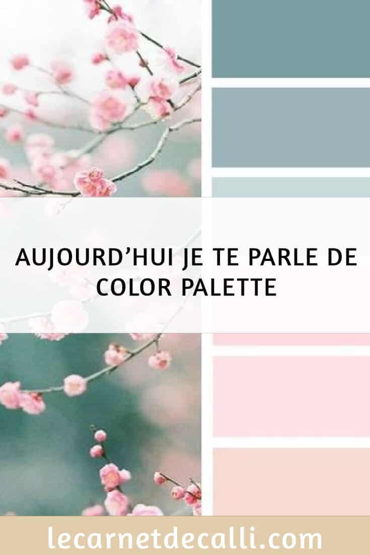 color palette