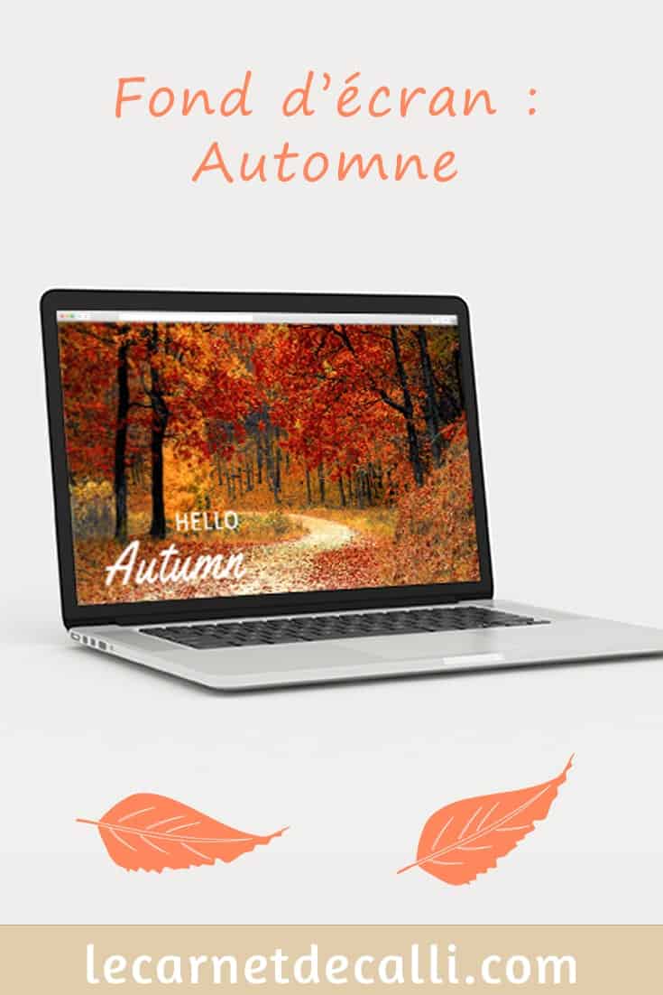 fond d'écran automne