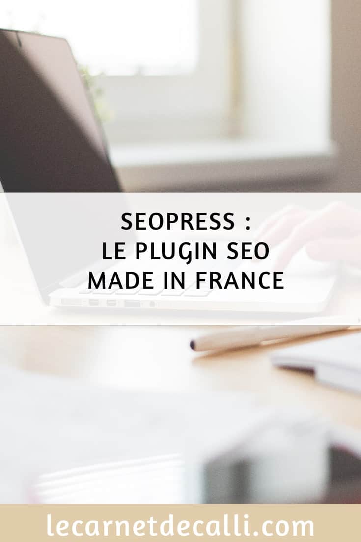 Seopress,Wordpress,Plugin,France,Yoas Seo,le carnet de calli