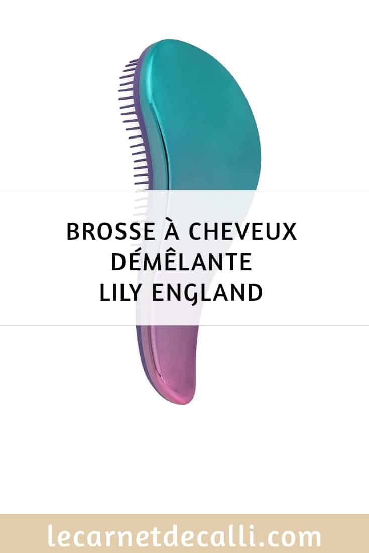 brosse à cheveux démêlante lily england
