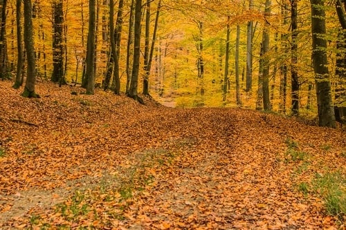 une journée d'automne parfaite