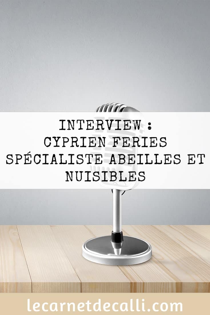 Interview cyprien feries