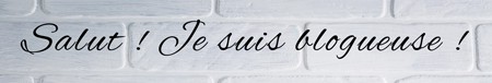 Police d'écriture, Font, Graphisme, Blog, Ecriture, le carnet de calli, Typographie