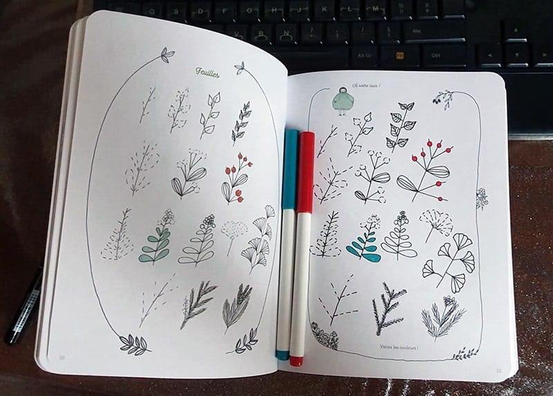 Doodling créatif,Julie Adore,le carnet de calli