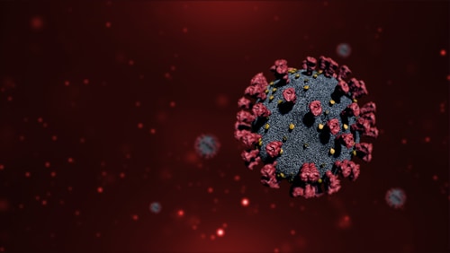 Photo du coronavirus