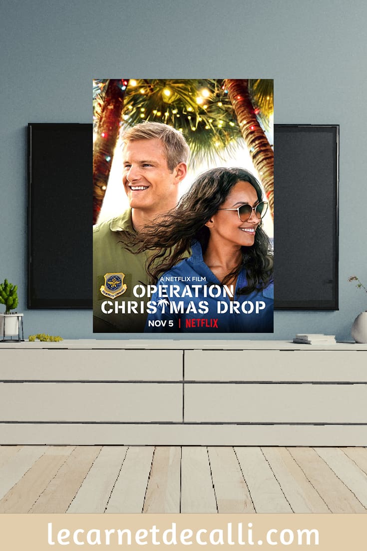 film de noel,film de noel netflix,film de noel netflix 2020,un noel tombé du ciel,un noel tombé du ciel histoire vraie,un noel tombé du ciel film netflix