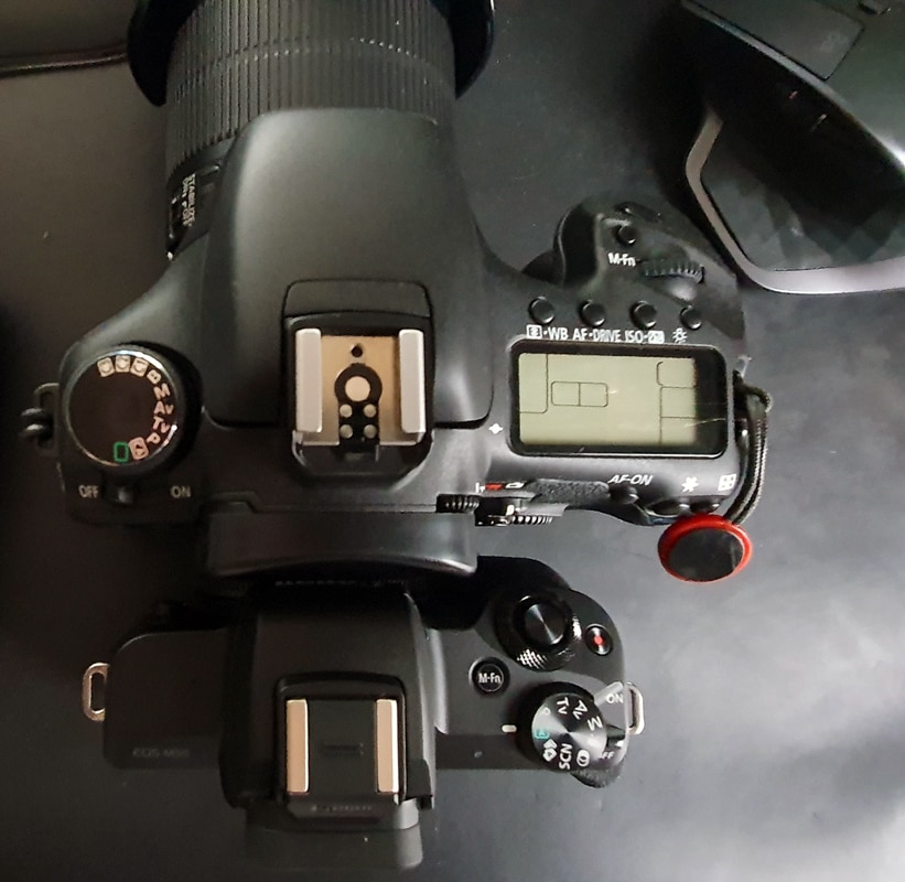 canon eos 7d canon eos m50