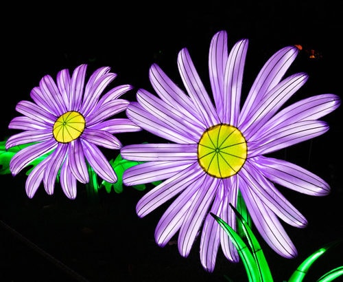 mini monde en vois d illumination