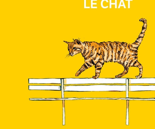 Allumer le chat / Barbara Constantine