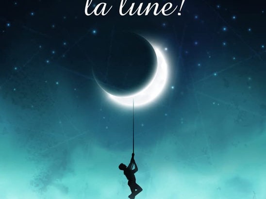 Demandez-moi la lune de Sylvie Barret