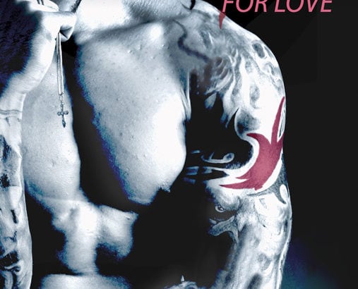 MMA Fighter, tome 1 : The fighter for love / Vi Keeland