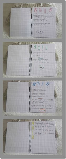 Carnet ouvert avec notes pour 2010 à 2013.