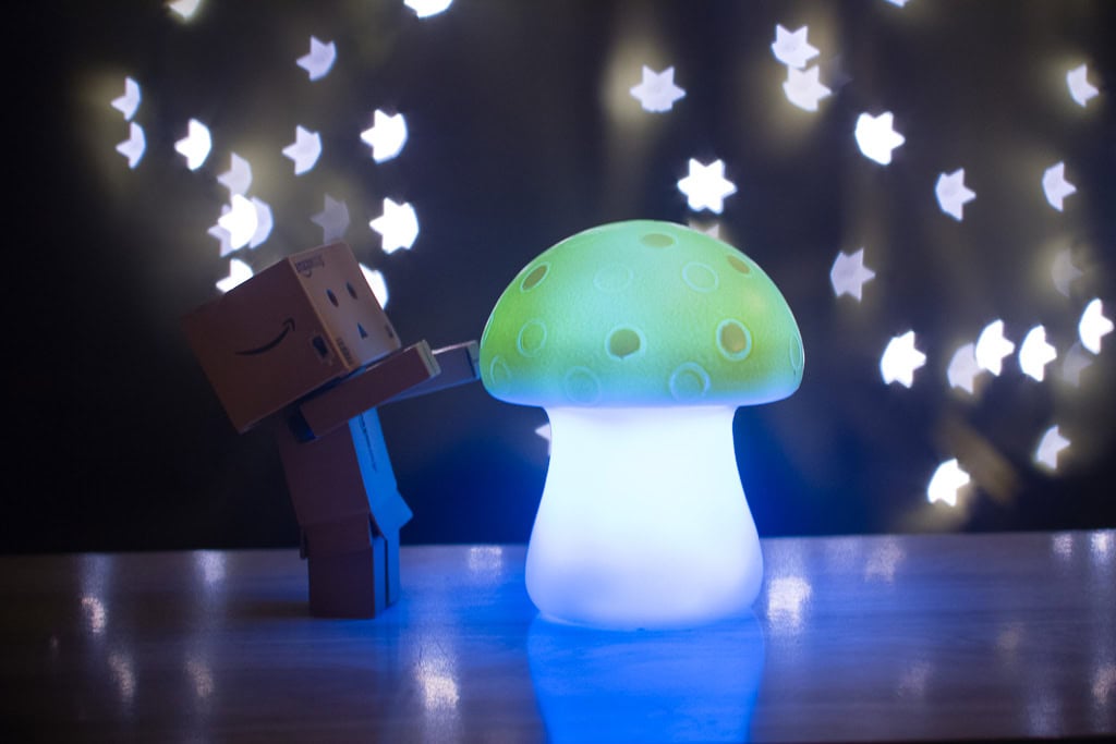 Essai du Bokeh Masters Kit avec Danbo et un champignon lumineux, bokeh en forme d'étoiles en arrière-plan