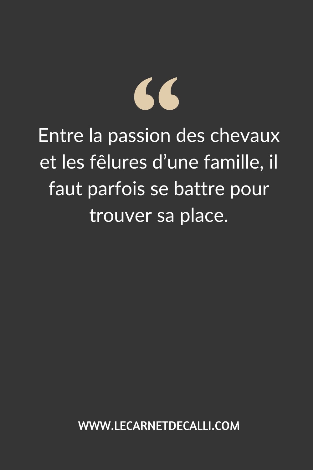 Citation du roman Dans le silence de l’aube de Françoise Bourdin : Entre la passion des chevaux et les fêlures d’une famille, il faut parfois se battre pour trouver sa place.