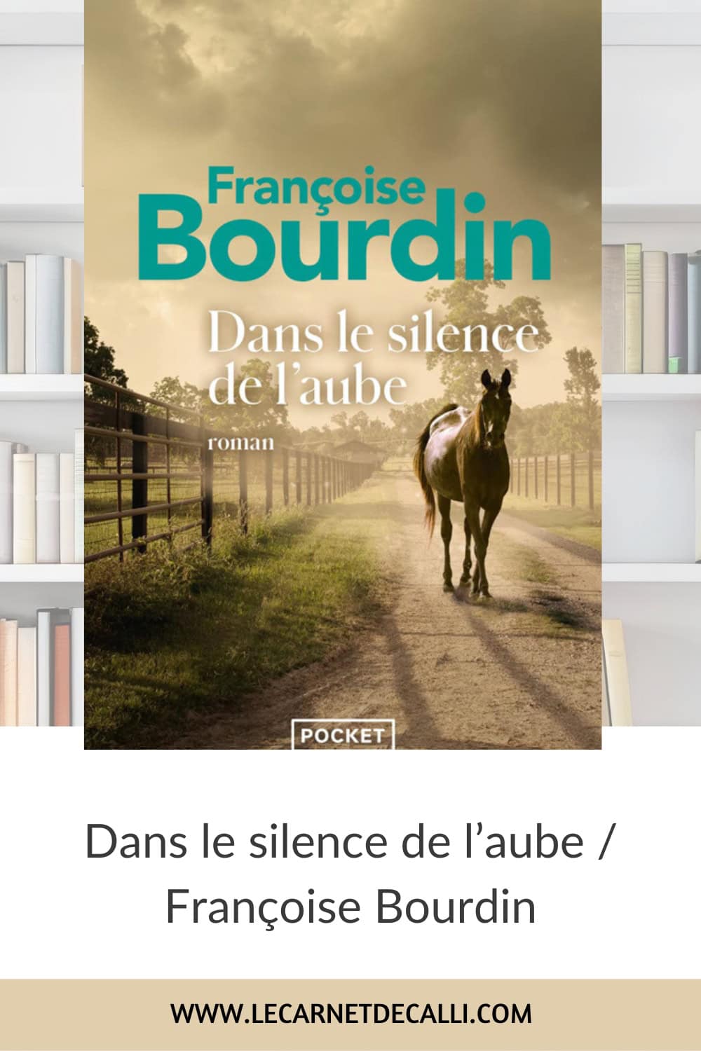 Couverture du roman Dans le silence de l’aube de Françoise Bourdin présenté sur le blog Le Carnet de Calli