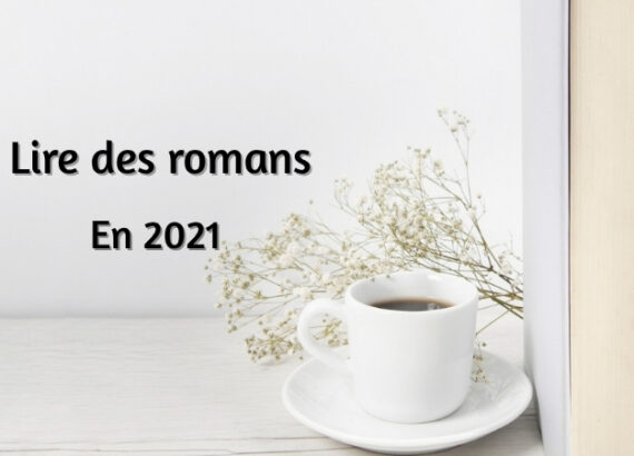 Challenge lecture 2021 : lire des romans et se fixer un objectif de lecture pour l’année.