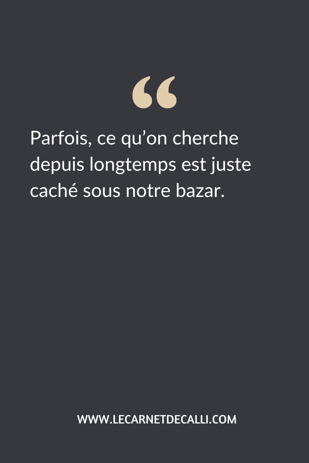 Citation inspirée du livre Martin et le Doudou perdu de Till the Cat : Parfois, ce qu’on cherche depuis longtemps est juste caché sous notre bazar.