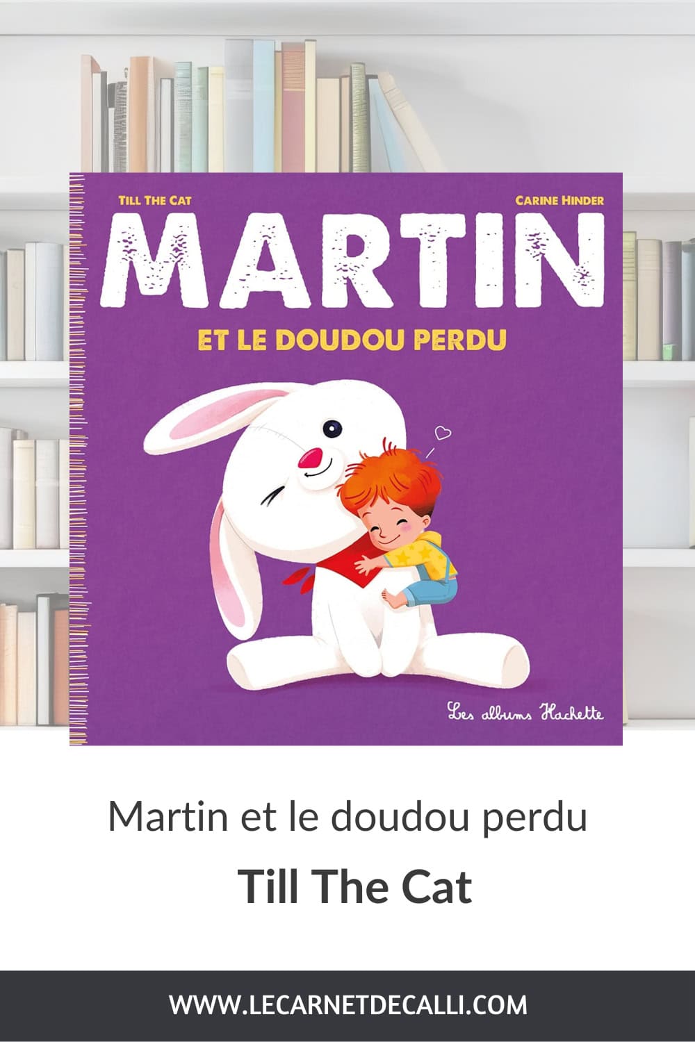 Couverture du livre jeunesse Martin et le Doudou perdu de Till the Cat présenté sur le blog Le Carnet de Calli