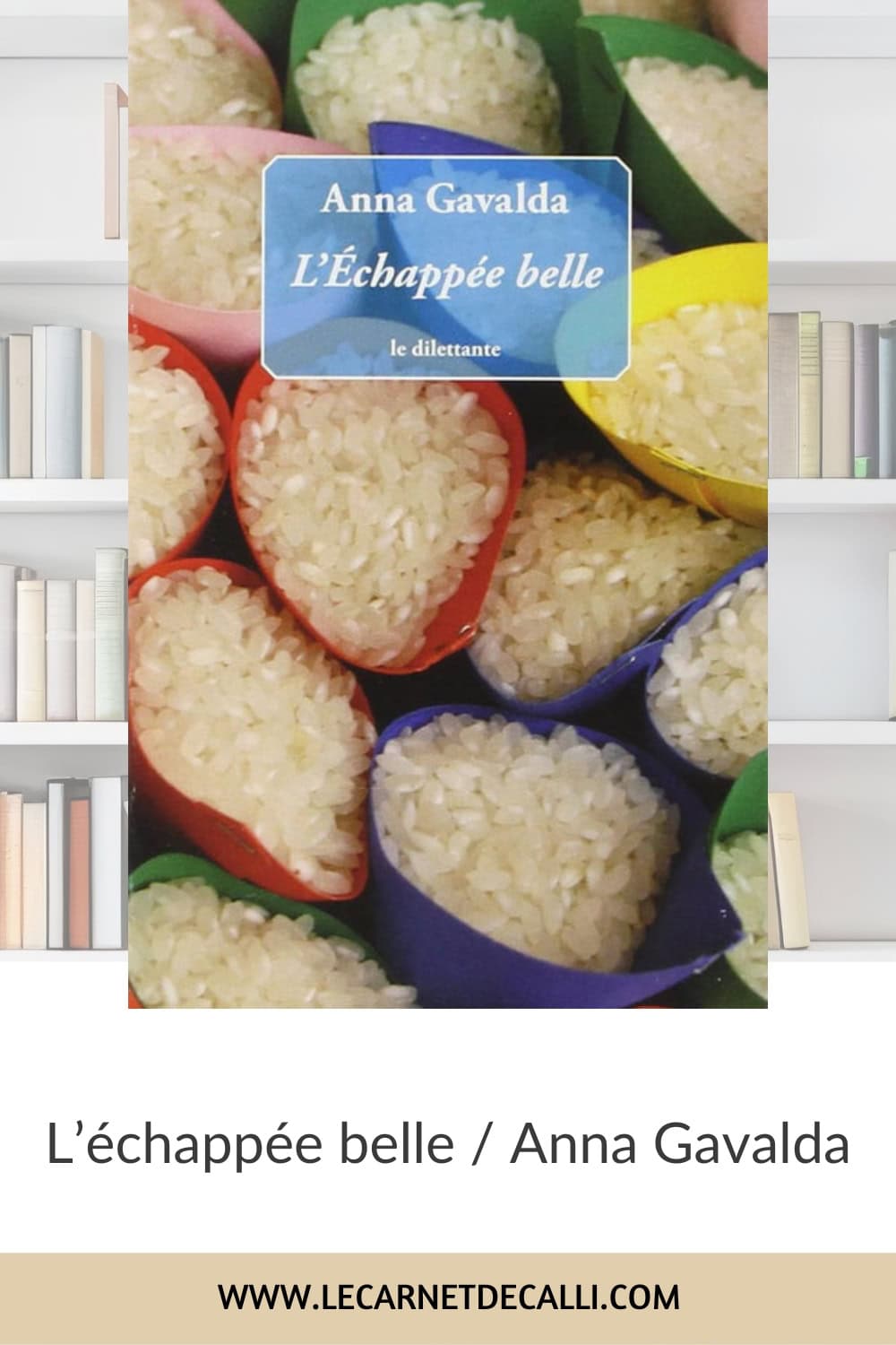 l'échapée belle anna gavalda,l'échapée belle anna gavalda résumé,l'échapée belle anna gavalda avis