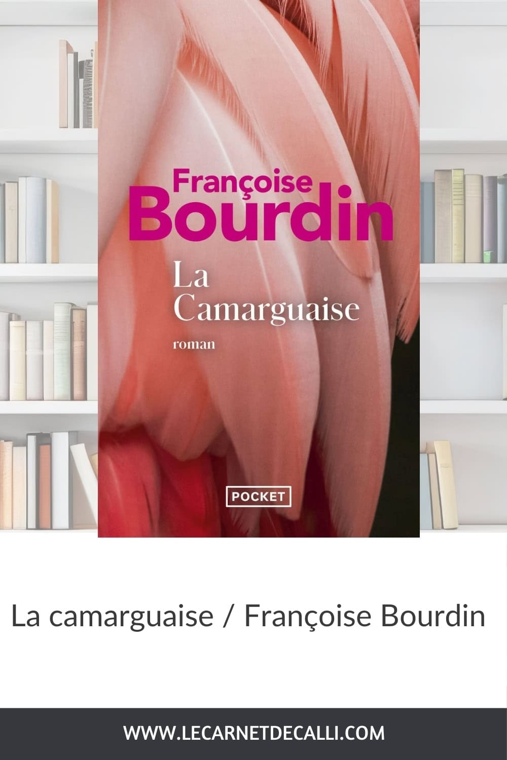 Couverture du roman La Camarguaise de Françoise Bourdin — un livre contemporain sur la reconstruction, l’héritage familial et les choix de vie.