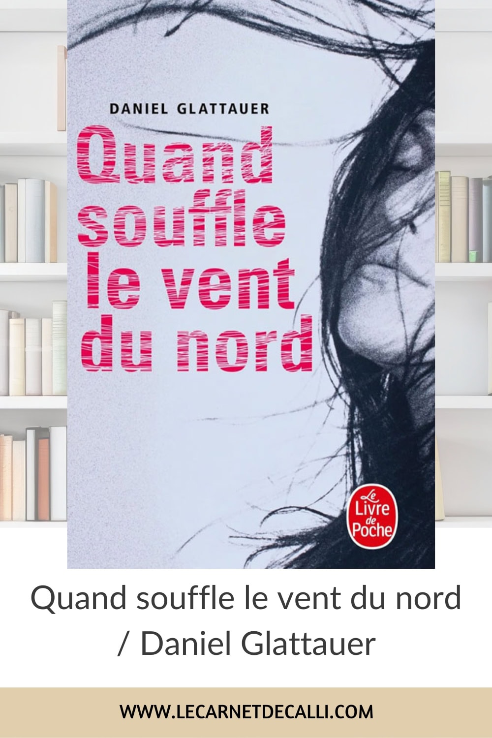 Épingle Pinterest du livre Quand souffle le vent du nord de Daniel Glattauer