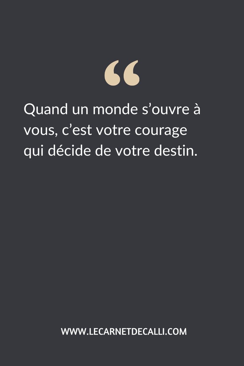Citation du livre La Citadelle des dragons sur le courage et le destin dans un univers fantasy