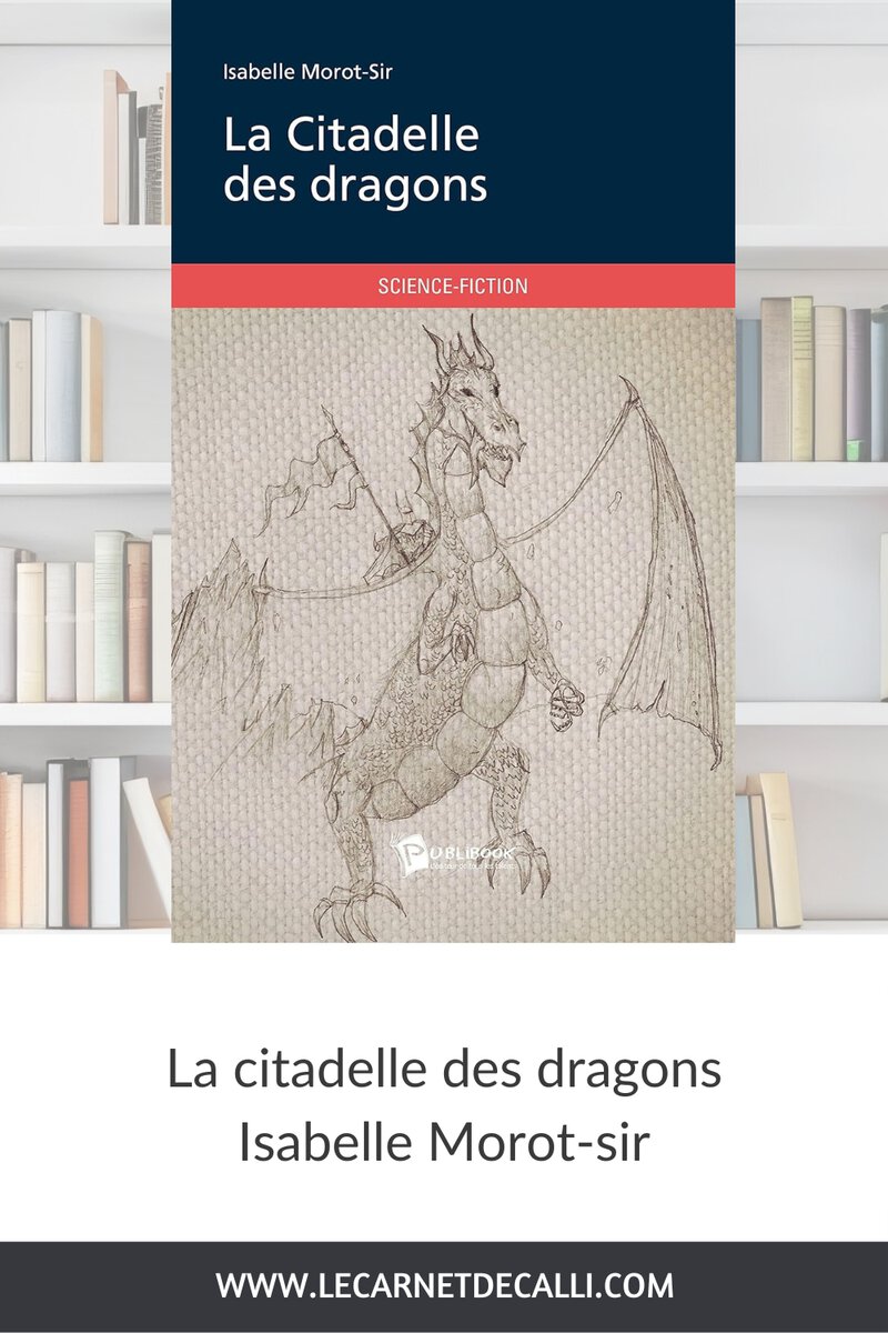 La Citadelle des dragons Isabelle Morot-Sir avis sur ce roman fantasy avec dragons et monde parallèle