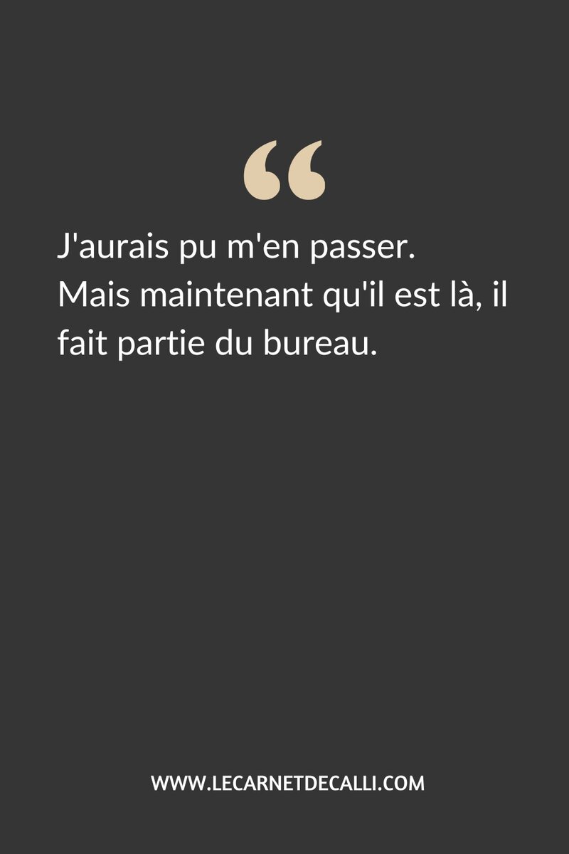 Épingle Pinterest citation – "J'aurais pu m'en passer. Mais maintenant qu'il est là, il fait partie du bureau." Le Carnet de Calli