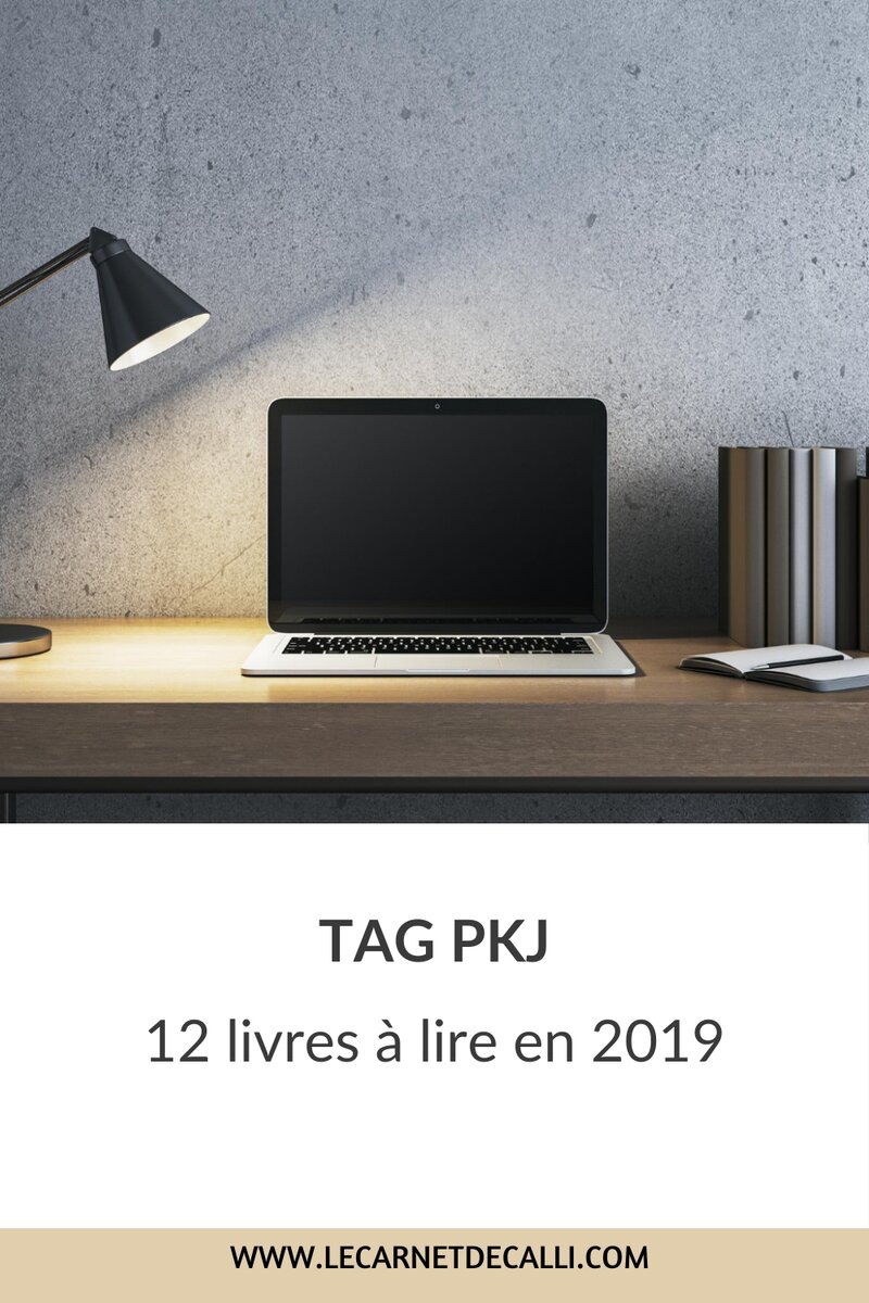 Épingle Pinterest Tag PKJ 12 livres à lire en 2019 — Le Carnet de Calli