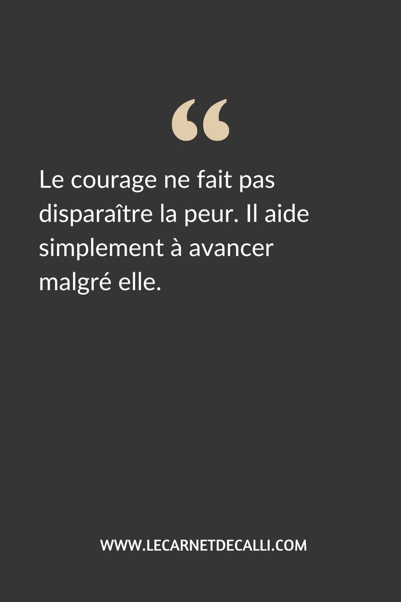 Citation inspirée de la lecture du roman Chevaux de foudre d'Aurélie Wellenstein.