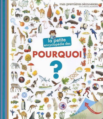 Couverture du livre jeunesse La petite encyclopédie des pourquoi, de Sophie Lamoureux, publié chez Gallimard Jeunesse.