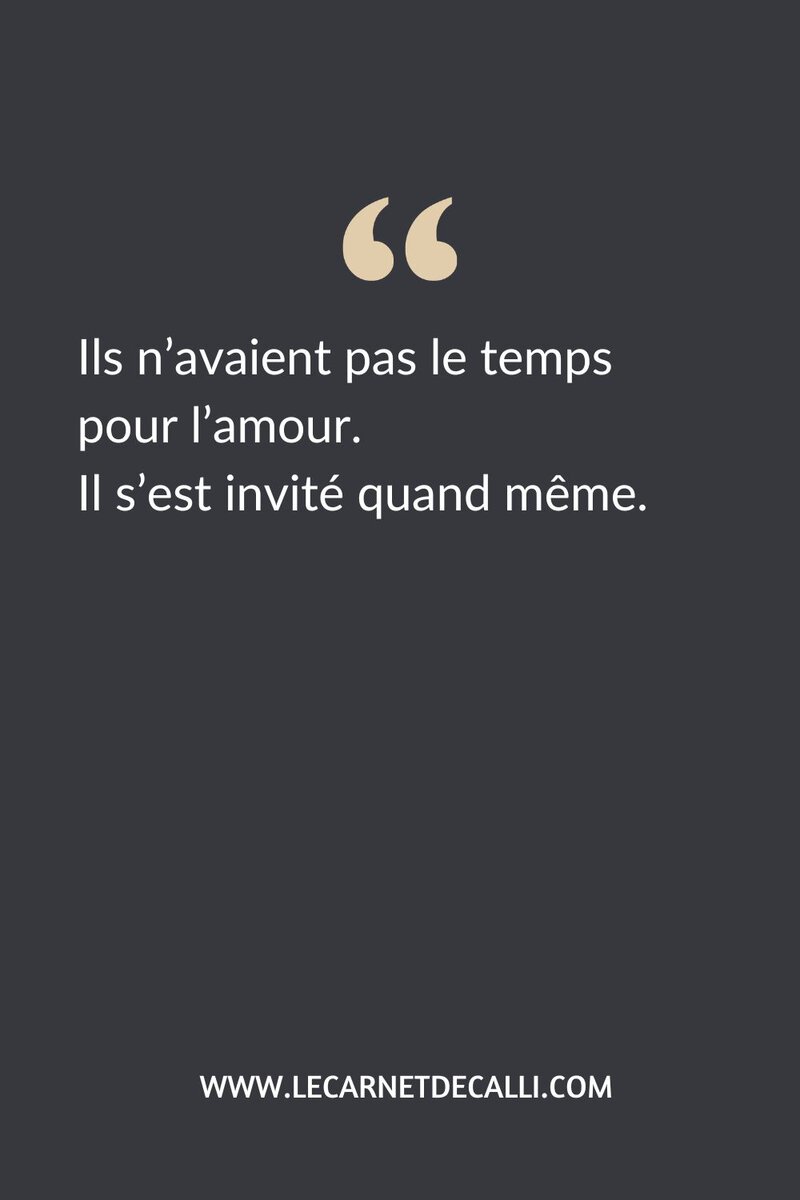 Citation inspirée de La feinte irrégulière de Jaci Burton : Ils n’avaient pas le temps pour l’amour. Il s’est invité quand même.